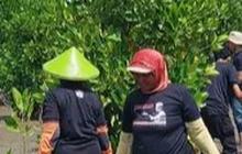 Potret Penanaman 1.000 Mangrove untuk Kurangi Emisi Karbon dan Bisnis Berkelanjutan