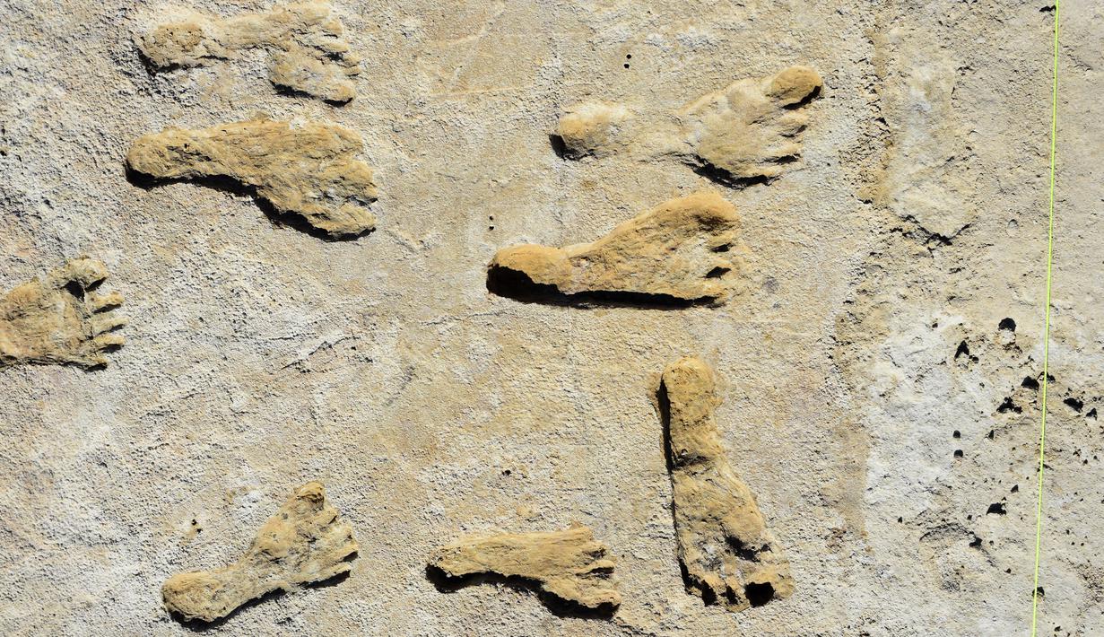 Gambar tak bertanggal terlihat fosil jejak kaki di New Mexico. Menurut penelitian yang diterbitkan pada 23 September 2021, jejak kaki berusia 23.000 tahun itu menunjukkan manusia menetap di Amerika Utara jauh sebelum akhir Zaman Es terakhir. (HO/National Park Service and Bournemouth University/AFP)