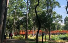 Keluh Kesah Pengunjung dan Pedagang Tebet Eco Park Usai Kabar Pungli Foto