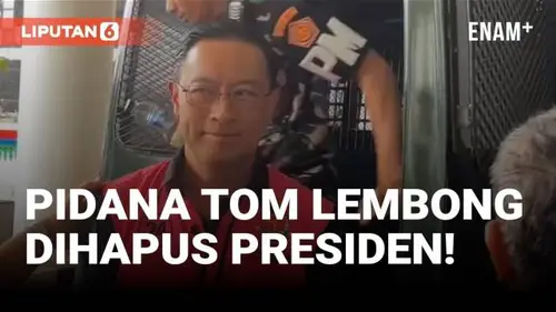  DPR Setujui Abolisi untuk Tom Lembong