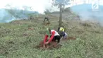 Warga lereng Gunung Wilis di Madiun punya cara alami agar terhindar dari bencana longsor. Mereka menanam ribuan tanaman sengon sebagai bentuk reboisasi.