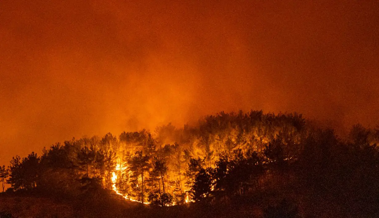 Pemandangan kobaran api dari kebakaran hutan di Desa Akcayaka, Milas, Provinsi Mugla, Turki, Jumat (6/8/2021). Delapan orang tewas dan puluhan lainnya dirawat di rumah sakit dalam kebakaran hutan di Turki. (Yasin AKGUL/AFP)