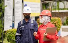 Fakta Unik: TOBA Fokus Ekspansi Bisnis Hijau di Asia Tenggara, Tolak Proyek WTE Danantara