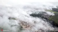 3 Perambah Cagar Biosfer Dibekuk Satgas Asap Riau