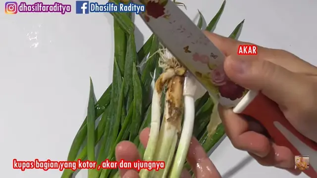 Awet Segar dan Wangi Berbulan-bulan, Ini Cara Efektif Simpan Daun Bawang di Kulkas