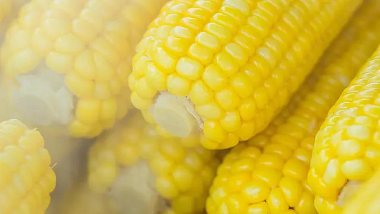 Resep Dadar Jagung Kukus, Alternatif Gorengan yang Bisa Jadi MPASI