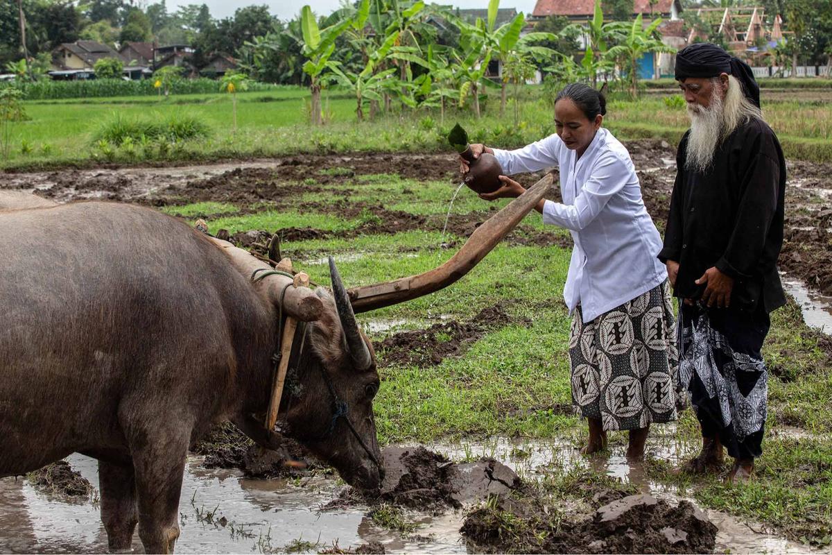FOTO: Doa Petani Sleman dalam Ritual Adat Megawe