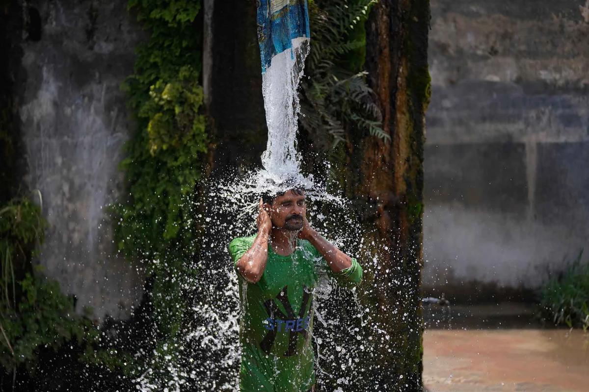 FOTO: Gelombang Panas Ekstrem Lumpuhkan Aktivitas Warga India Utara