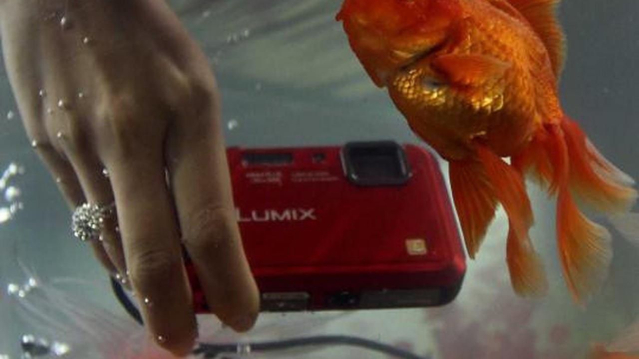 Panasonic rilis kamera tahan air
