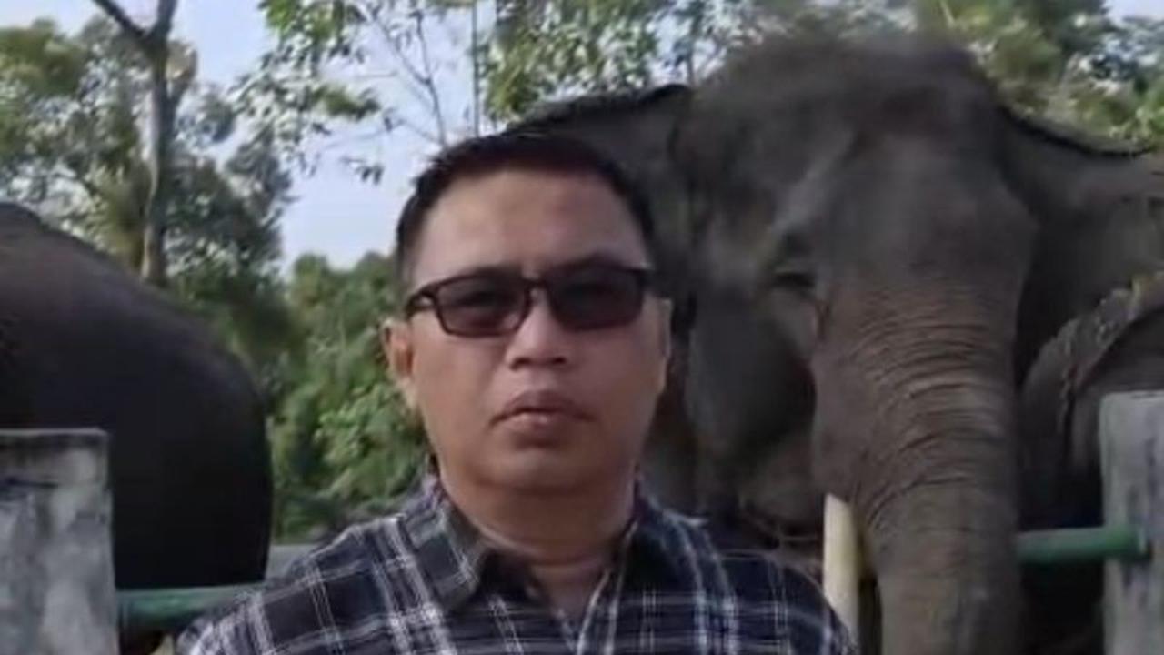 BKSDA Jambi Dorong Masyarakat Berdaya dalam Pengembangan Konservasi Gajah PIKG Tebo