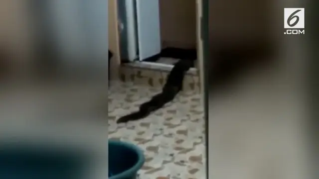 VIDEO: Detik-detik Penampakan Mahluk Misterius Muncul di Toilet