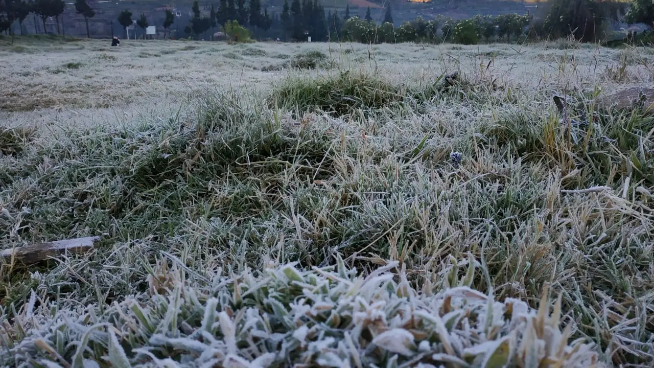 Embun es Dieng. (Foto: Liputan6.com/UPT Dieng/Muhamad Ridlo)