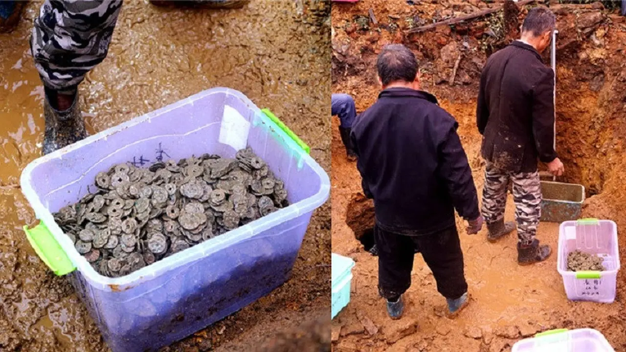Temukan 300 Ribu Keping Koin Kuno, Berapa Harganya?