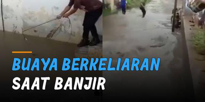 VIDEO: Ngeri, Buaya Berkeliaran di Genangan Air Saat Banjir