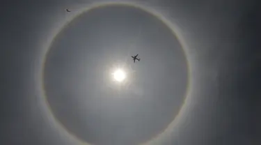 Sebuah pesawat terbang melewati 'halo matahari' di Mexico City (21/5/2015). Menurut ahli meteorologi, fenomena cuaca menciptakan pelangi mengelilingi matahari dan dibentuk oleh refleksi dari kristal es. (REUTERS/Henry Romero)