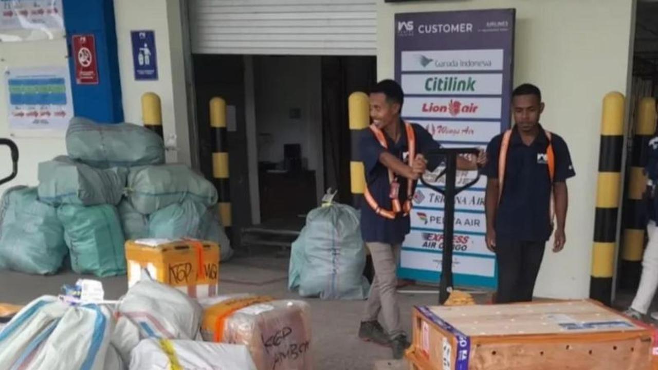Tahukah Anda? BKSDA Maluku Terima 49 Satwa, Upaya Konservasi Lewat Translokasi Satwa Maluku