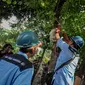 Petugas PLN dibantu petugas Kecamatan Johar Baru memutus kabel saluran listrik ilegal di Johar Baru, Jakarta Pusat, Rabu (25/3/2015). Kegiatan itu untuk mengurangi saluran listrik ilegal dan mencegah kebakaran.   (Liputan6.com/Faizal Fanani)