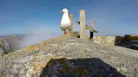 Inilah rekaman pemandangan Spanyol dari kamera GoPro yang dicuri seekor burung camar.