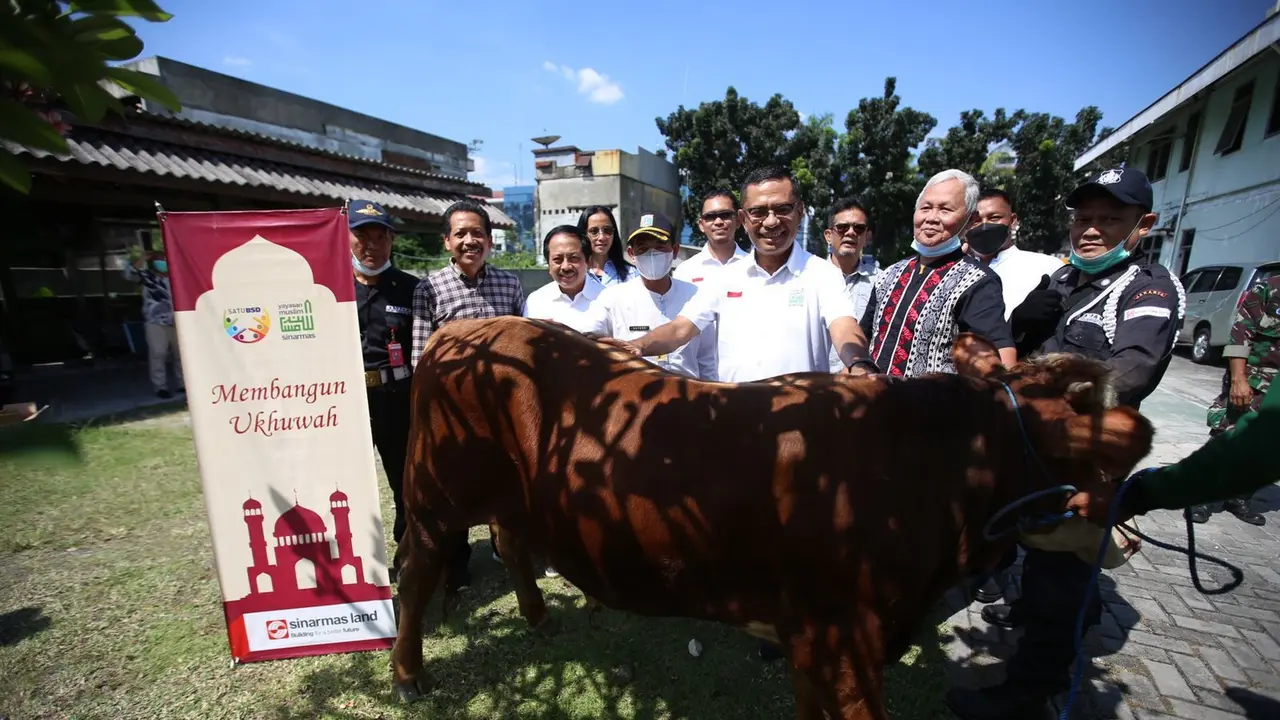 Sinar Mas Land melalui Yayasan Muslim Sinar Mas Land (YMSML) kembali menyalurkan 512 hewan kurban di  Hari Raya Idul Adha 2022. (Dok Sinar Mas Land)