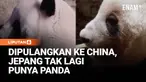 Panda terakhir di Jepang dipulangkan ke China. Lei Lei dan Xiao Xiao adalah panda kembar yang lahir di Tokyo pada 2021, namun mereka akan segera dikembalikan ke China di tengah meningkatnya ketegangan diplomatik terkait Taiwan.