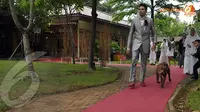 Ryan Delon Tuntun Pitbull ke Tempat Pemberkatan Pernikahan