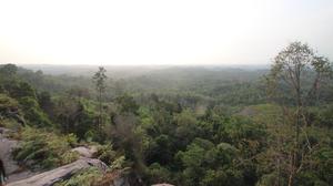 Mengenal Bukit Soeharto, Hutan Penyangga IKN Digerogoti Penambang Ilegal