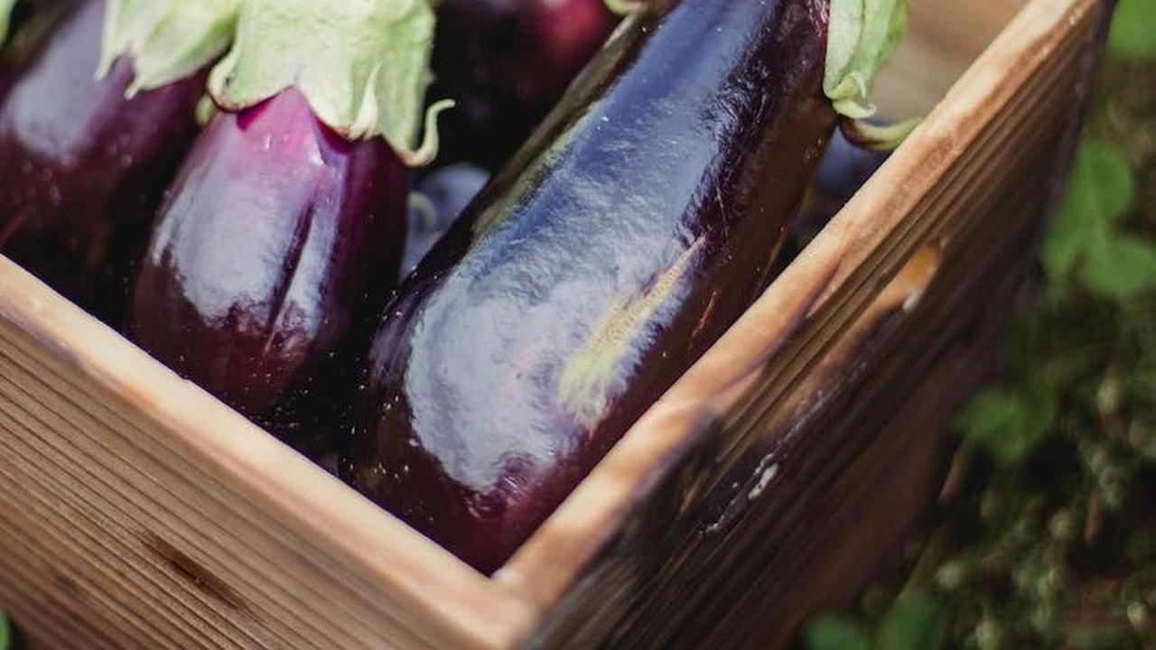 Resep Terong Bakar yang Enak dan Menggugah Selara, Mudah Dibuat