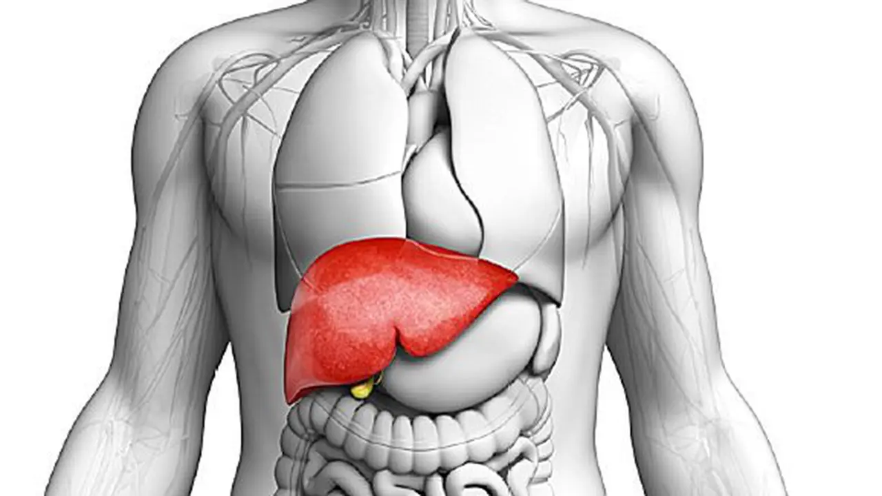 Bahaya sirosis hati/copyright WebMD.com