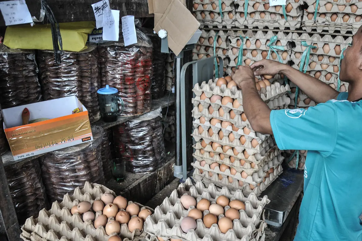 Harga Telur Ayam Terus Meroket
