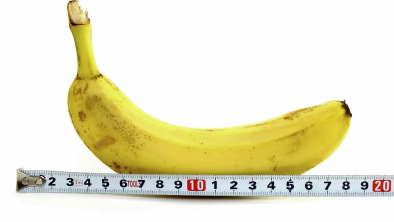 Beda Negara, Beda Juga Ukuran Penis Prianya, Ini Daftarnya!
