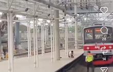 Kronologi Pria Melompat ke Rel Stasiun Tanah Abang, Ini Tindakan Masinis