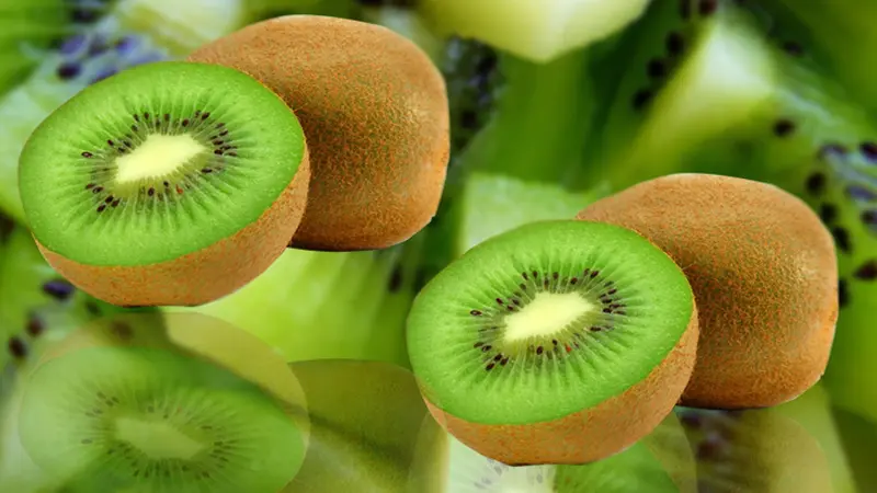 Ilustrasi Buah Kiwi