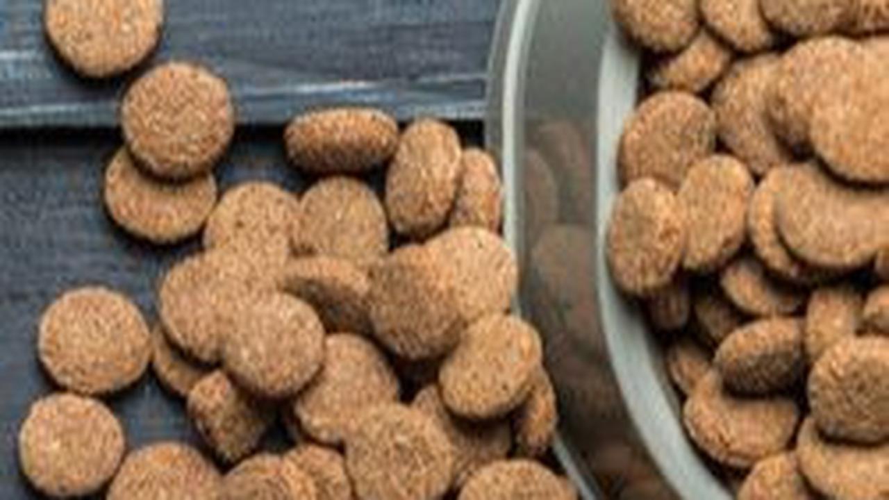 1. Resep Makanan Penggemuk Kucing Mirip Sereal Kering<br>
