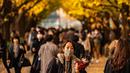 Seorang perempuan membawa anjingnya sambil berjalan di bawah pohon ginkgo dalam warna musim gugur di Taman Luar Kuil Meiji di Tokyo, Kamis (18/11/2021). Pada pertengahan bulan November, barisan pohon ginkgo yang ada di taman ini akan berubah warna menjadi kuning keemasan. (Philip FONG / AFP)