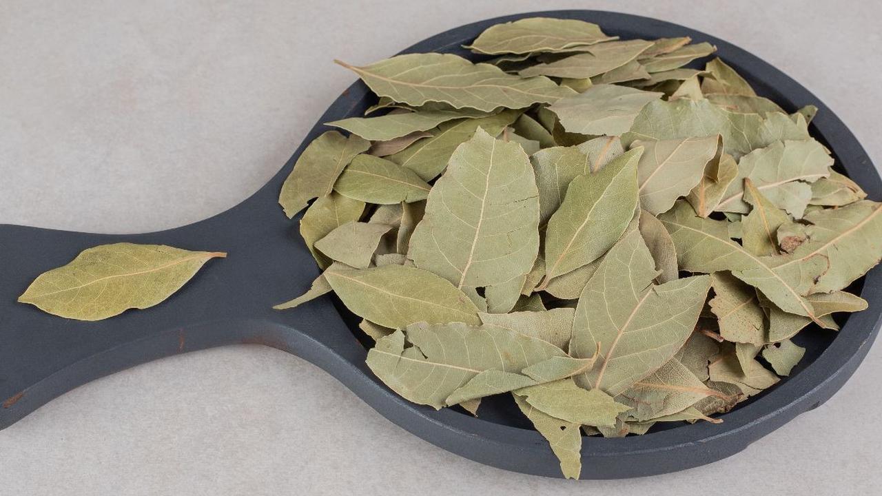 2. Daun Salam