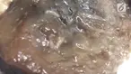 Seorang wanita geram karena menemukan belatung saat ingin makan. Tak terima, wanita tersebut melabrak pengelola restoran.