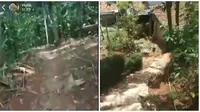 Keluh Kesah Kurir saat Kirim Paket ke Pelosok Desa Ini Bikin Geregetan (sumber: Twitter/kelelalay)