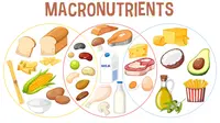 Ilustrasi nutrien. (Image by brgfx on Freepik)