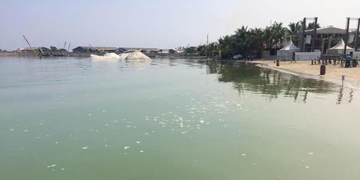 Karena sedimen bawah laut naik.setelah ada perubahan suhu