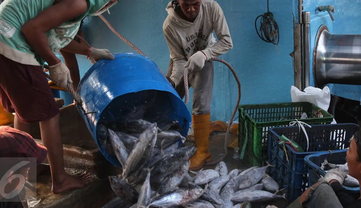 Aktivitas bongkar muat ikan di Pelabuhan Muara Baru, Jakarta, Selasa (22/9/2015). Nelayan mengeluh mahalnya BBM dan Peraturan Menteri No. 2/2015 tentang larangan penggunaan pukat hela dan pukat tarik membuat nelayan merugi. (Liputan6.com/Angga Yuniar) 