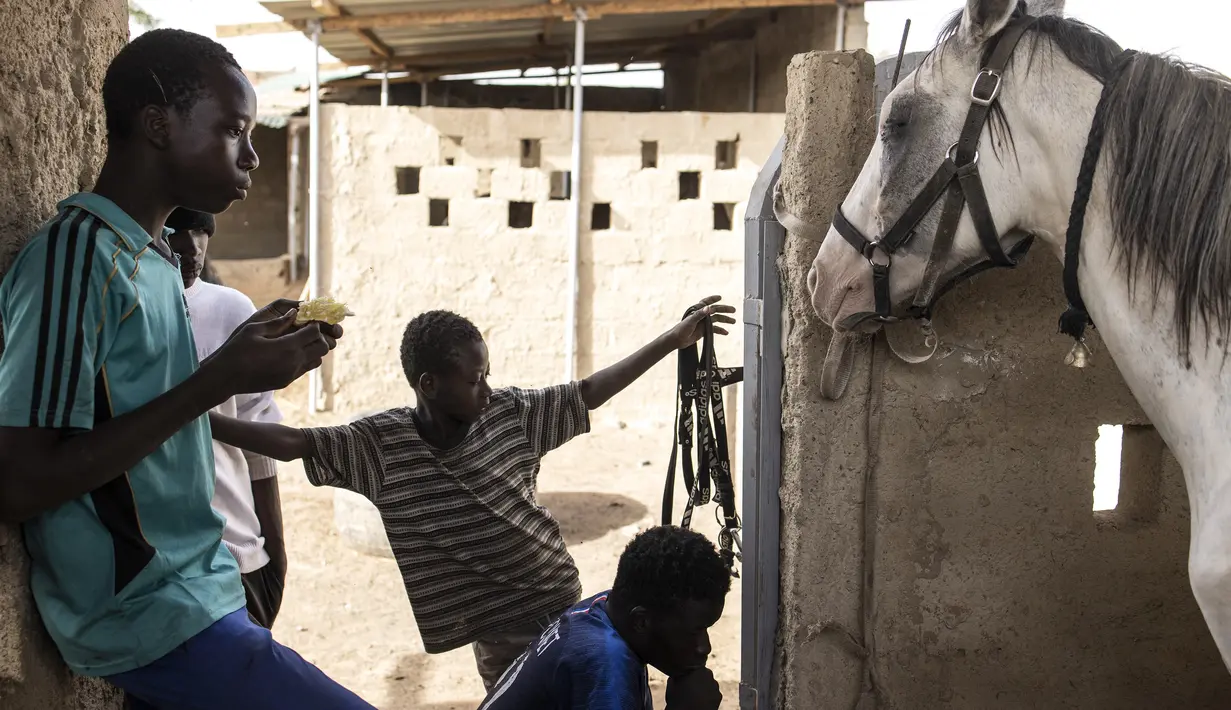 Pemuda berlindung dari panasnya hari di kandang kuda di Ouagadougou (1/2/2022). Koboi terkenal memenangkan jutaan Franc Afrika Barat dari balapan dan diam-diam melatih kuda di malam hari untuk melakukan dressage, beberapa bahkan menyebut diri mereka koboi dan berpakaian sesuai. (AFP/John Wessels)