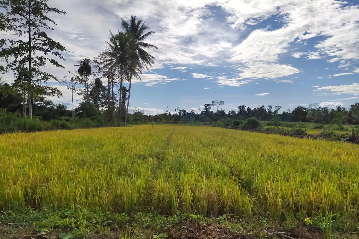 Kementan