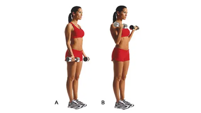 Alternating Bicep Curls