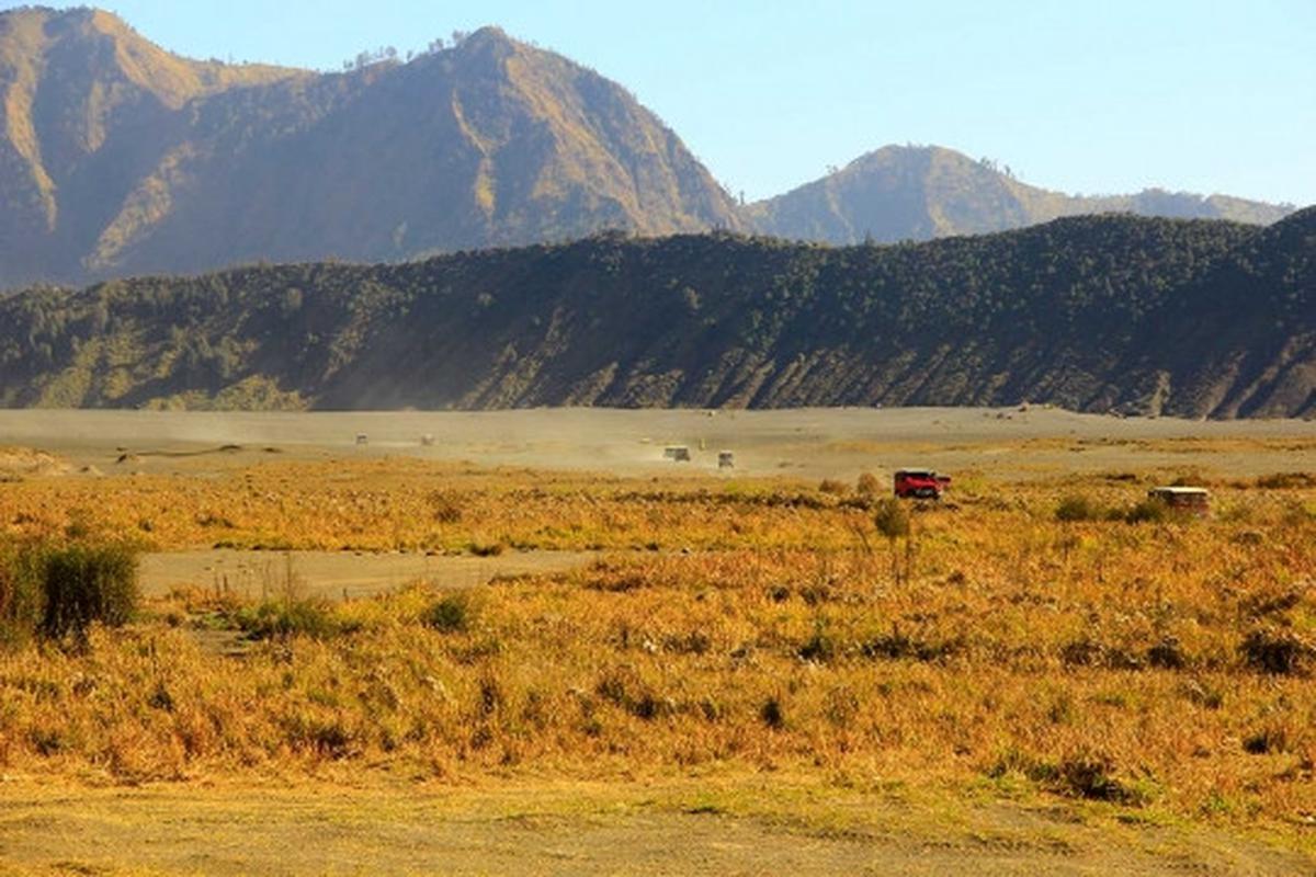 Memanjakan mata menikmati keindahan bukit 'Teletubbies' di Bromo