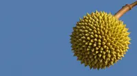 Ikuti 9 Prinsip Pola Makan Sehat bagi Pasien Penyakit Jantung, Termasuk Hindari Nangka dan Durian