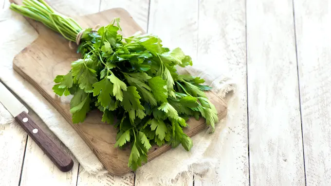 daun parsley segar