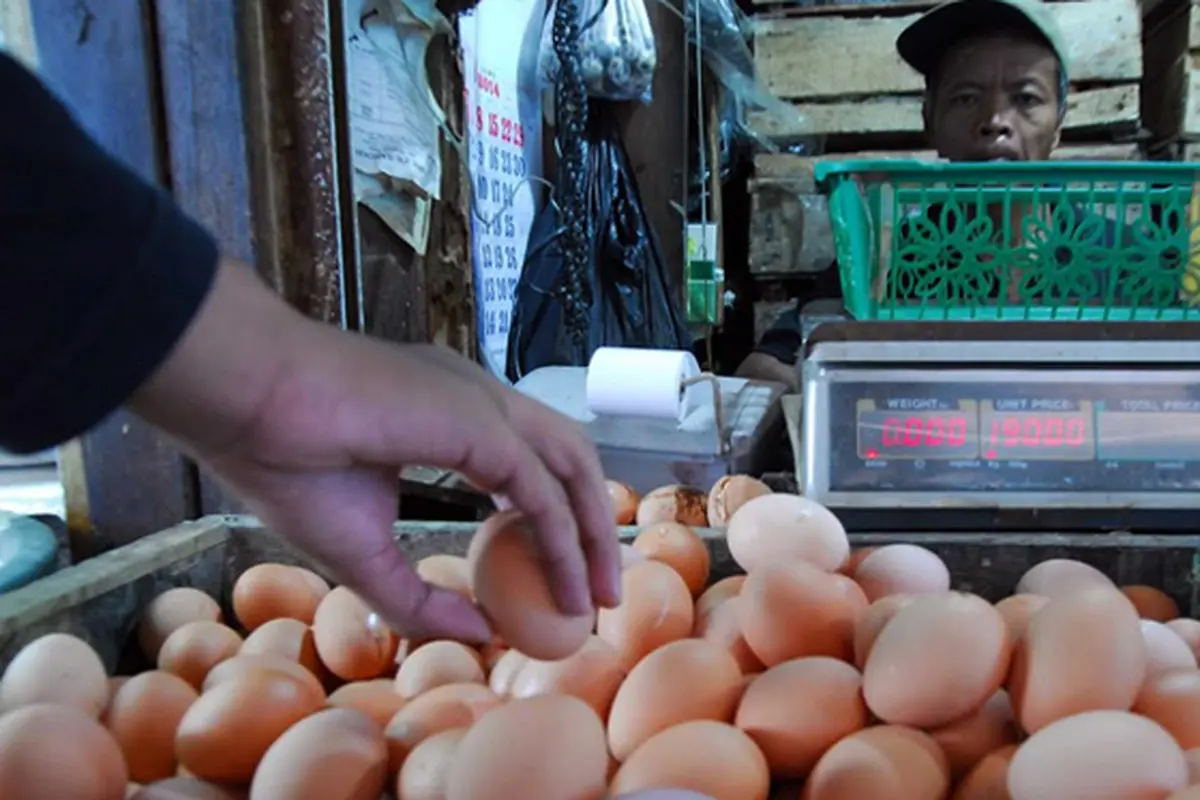 Harga-Telur