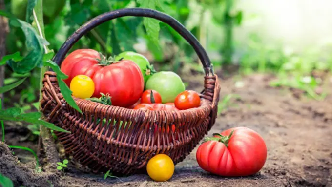 copyright by thinkstockphotos.com