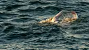 Gambar yang diambil 15 September 2019, perenang AS Sarah Thomas berenang  di Selat Dover, pantai selatan Inggris. Penyintas kanker payudara itu menjadi orang pertama yang berhasil berenang melintasi Selat Inggris empat kali berturut-turut tanpa henti pada Selasa 17 September. (HO/AFP/JON WASHER)