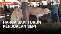 JELANG IDUL ADHA PENJUALAN HEWAN KURBAN SEPI MESKI HARGA GAK TURUN